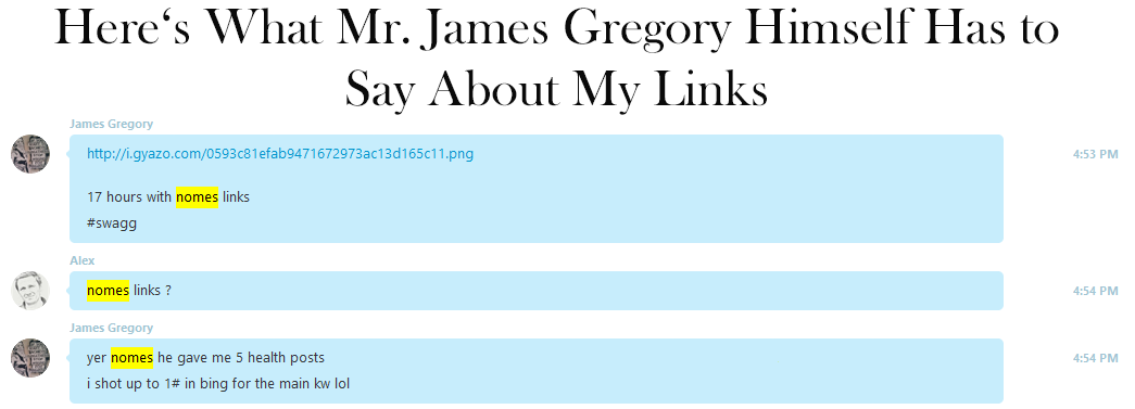 Skype chat screenshot: James Gregory says he received 5 health posts and moved up to number 1 in Bing for his main keyword.